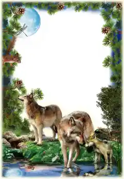 Foto-effetti della categoria Vari № 149261