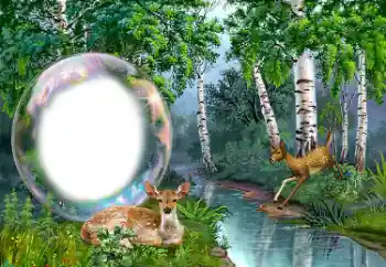 Foto-effetti della categoria Vari № 149352 Foto-effetti della categoria Vari № 149352