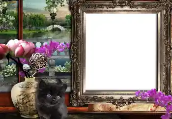 Foto-effetti della categoria Vari № 149361 Foto-effetti della categoria Vari № 149361