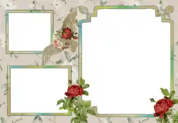 Foto-effetti della categoria Vari № 15030