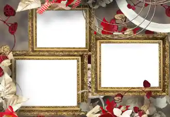 Foto-effetti della categoria Vari № 150523