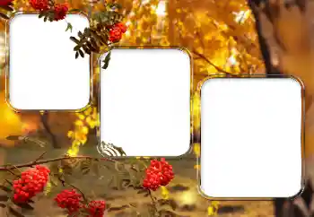 Foto-effetti della categoria Vari № 150527