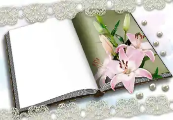 Foto-effetti della categoria Vari № 150570