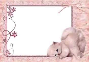 Foto-effetti della categoria Vari № 150650