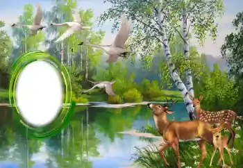 Foto-effetti della categoria Vari № 151671