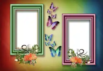 Foto-effetti della categoria Vari № 151817