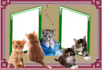 Foto-effetti della categoria Vari № 153045 Foto-effetti della categoria Vari № 153045