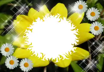 Foto-effetti della categoria Vari № 1530