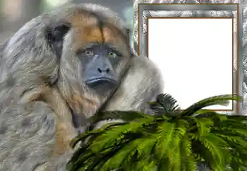 Foto-effetti della categoria Vari № 154503