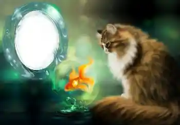 Foto-effetti della categoria Vari № 154509