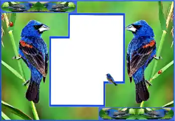 Foto-effetti della categoria Vari № 154512