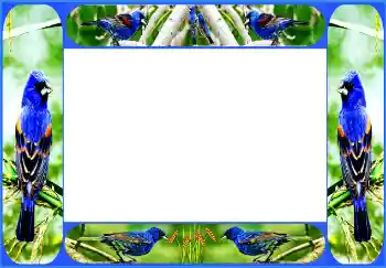 Foto-effetti della categoria Vari № 154514