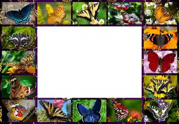 Foto-effetti della categoria Vari № 154545