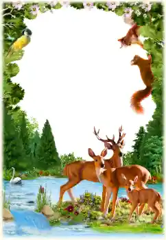 Foto-effetti della categoria Vari № 154547