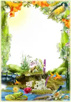 Foto-effetti della categoria Vari № 154548