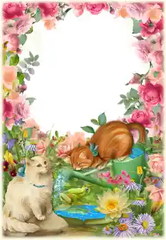 Foto-effetti della categoria Vari № 154549