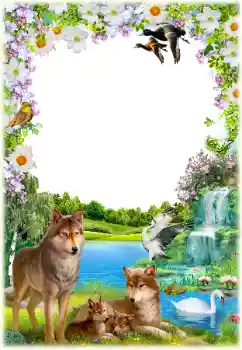 Foto-effetti della categoria Vari № 154550