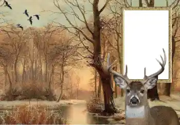 Foto-effetti della categoria Vari № 154607