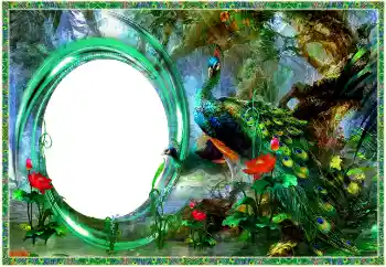 Foto-effetti della categoria Vari № 154704