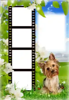 Foto-effetti della categoria Vari № 154718