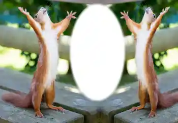 Foto-effetti della categoria Vari № 154733