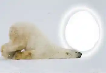 Foto-effetti della categoria Vari № 154735