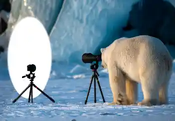 Foto-effetti della categoria Vari № 154736