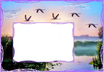 Foto-effetti della categoria Vari № 154759