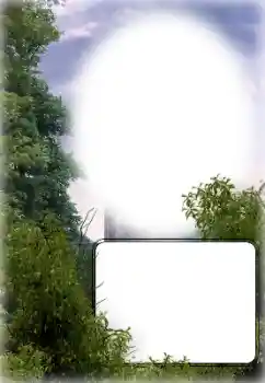 Foto-effetti della categoria Vari № 154780