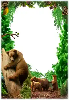 Foto-effetti della categoria Vari № 155801