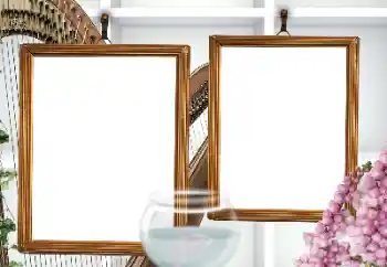 Foto-effetti della categoria Vari № 155807