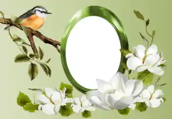 Foto-effetti della categoria Vari № 155868