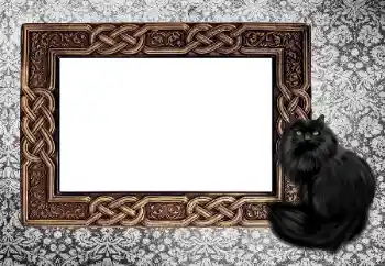 Foto-effetti della categoria Vari № 155997