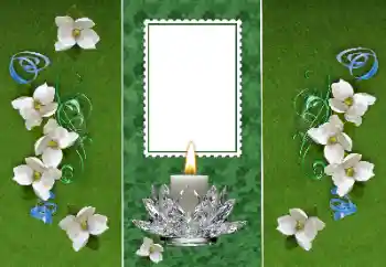 Foto-effetti della categoria Vari № 157116 Foto-effetti della categoria Vari № 157116