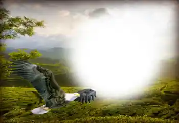 Foto-effetti della categoria Vari № 158416 Foto-effetti della categoria Vari № 158416