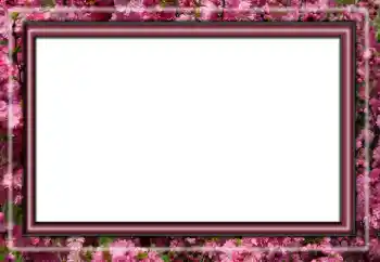 Foto-effetti della categoria Vari № 158431 Foto-effetti della categoria Vari № 158431