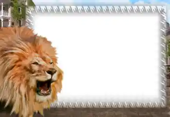 Foto-effetti della categoria Vari № 158462 Foto-effetti della categoria Vari № 158462