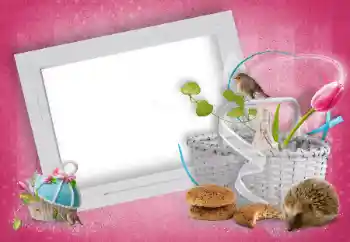 Foto-effetti della categoria Vari № 15919