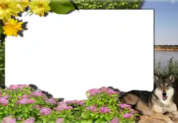 Foto-effetti della categoria Vari № 159462 Foto-effetti della categoria Vari № 159462