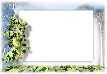 Foto-effetti della categoria Vari № 160744 Foto-effetti della categoria Vari № 160744