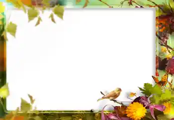 Foto-effetti della categoria Vari № 160773 Foto-effetti della categoria Vari № 160773