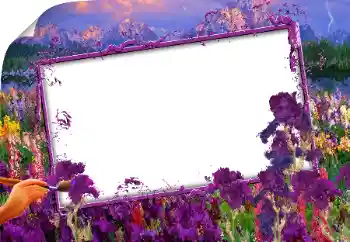 Foto-effetti della categoria Vari № 160843 Foto-effetti della categoria Vari № 160843