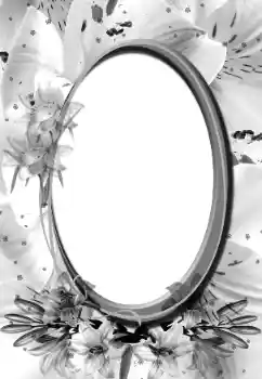 Foto-effetti della categoria Vari № 160896 Foto-effetti della categoria Vari № 160896