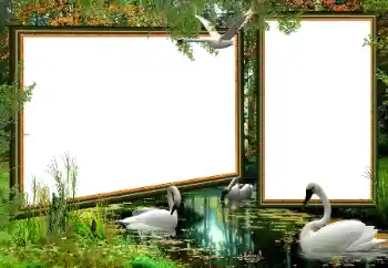 Foto-effetti della categoria Vari № 160922 Foto-effetti della categoria Vari № 160922