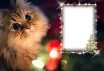 Foto-effetti della categoria Vari № 162030 Foto-effetti della categoria Vari № 162030