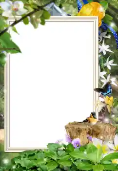 Foto-effetti della categoria Vari № 162044 Foto-effetti della categoria Vari № 162044