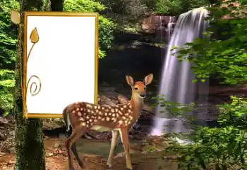 Foto-effetti della categoria Vari № 163220