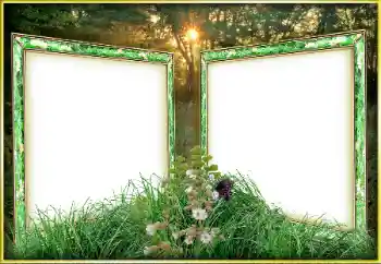 Foto-effetti della categoria Vari № 163263