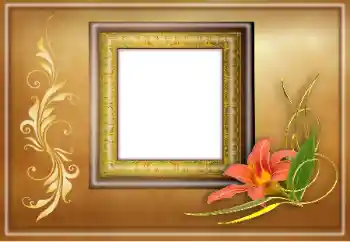 Foto-effetti della categoria Vari № 163374