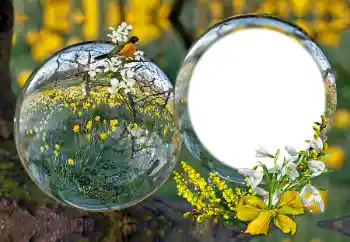 Foto-effetti della categoria Vari № 163601